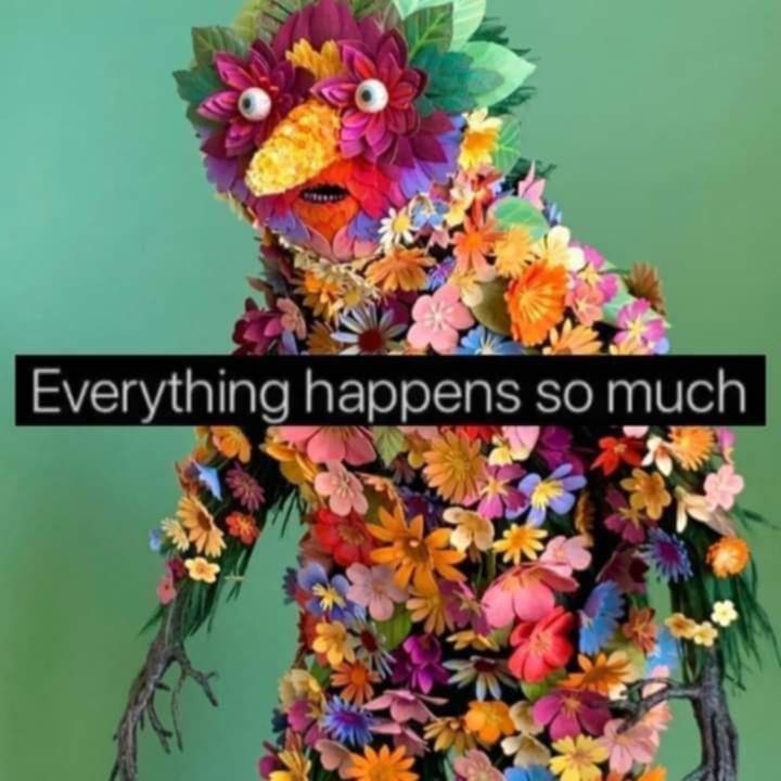 Everything happens so much