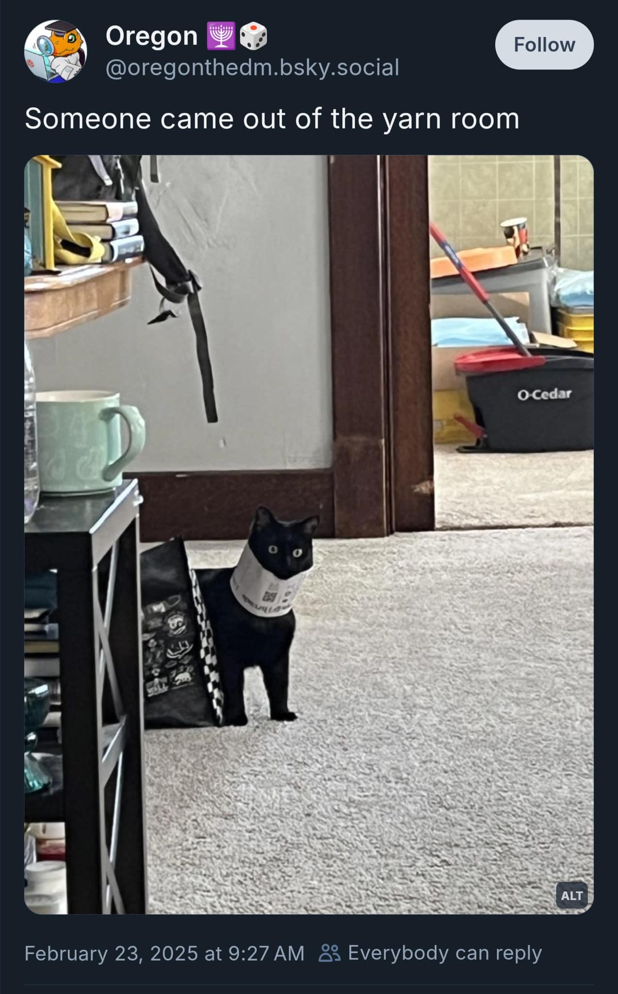 Someone came out of the yarn room