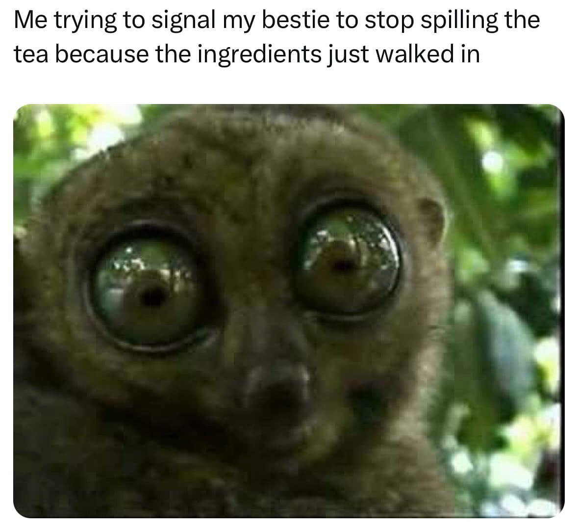 Me trying to signal my bestie to stop spilling the tea because the ingredients just walked in