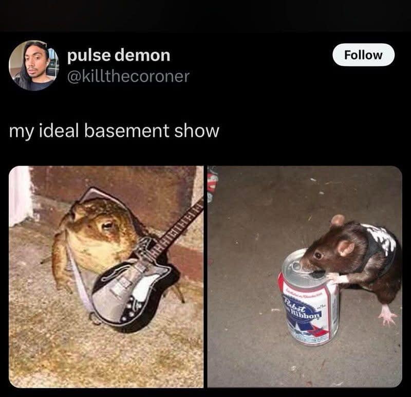 my ideal basement show