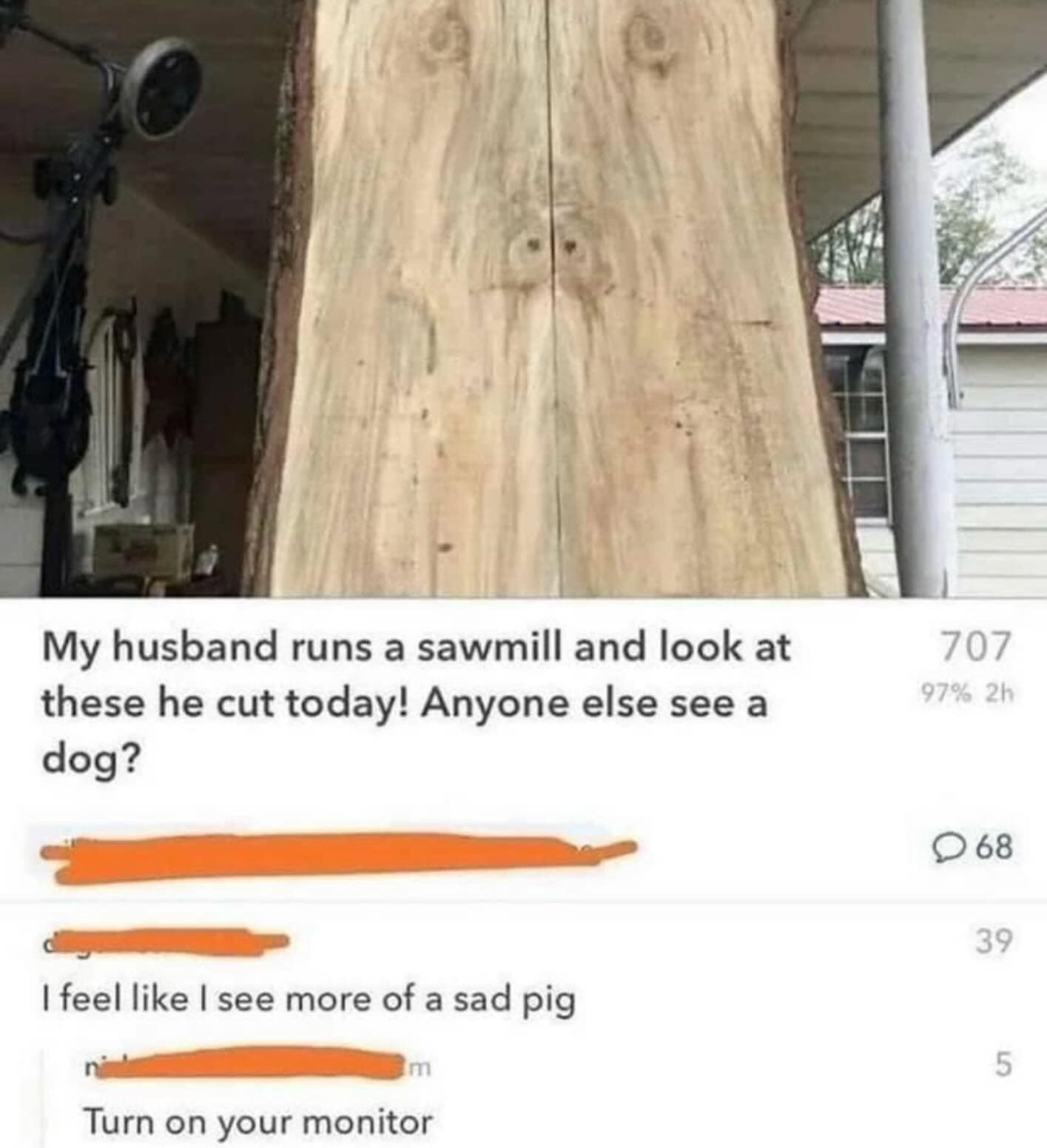 My husband runs a sawmill and look at these he cut today! Anyone else see a dog?