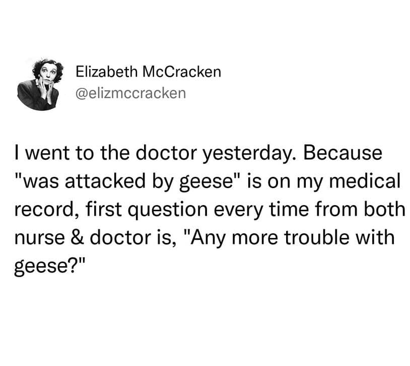 I went to the doctor yesterday. Because "was attacked by geese" is on my medical record, first question every time from both nurse & doctor is, "Any more trouble with geese?"