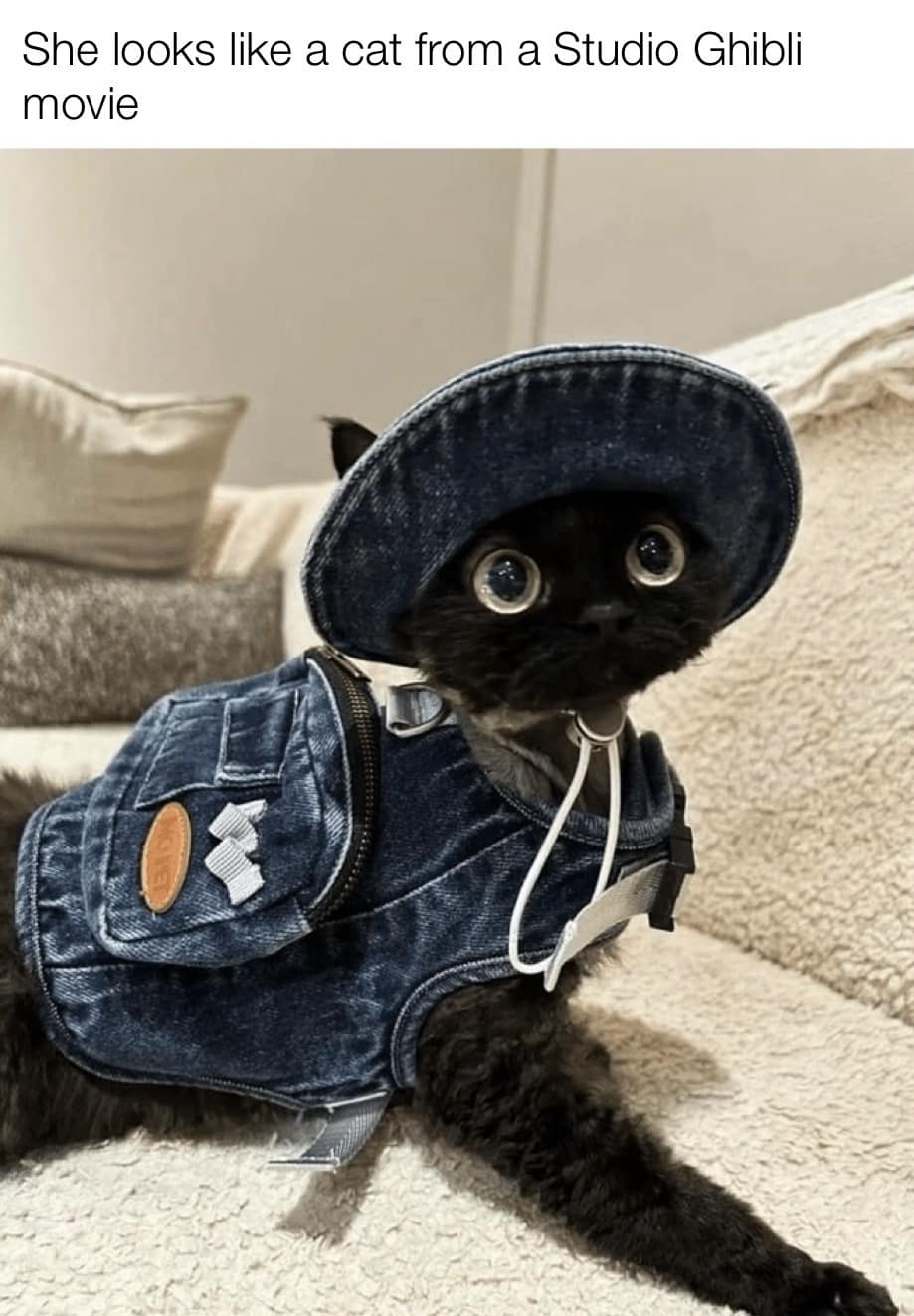 She looks like a cat from a Studio Ghibli movie