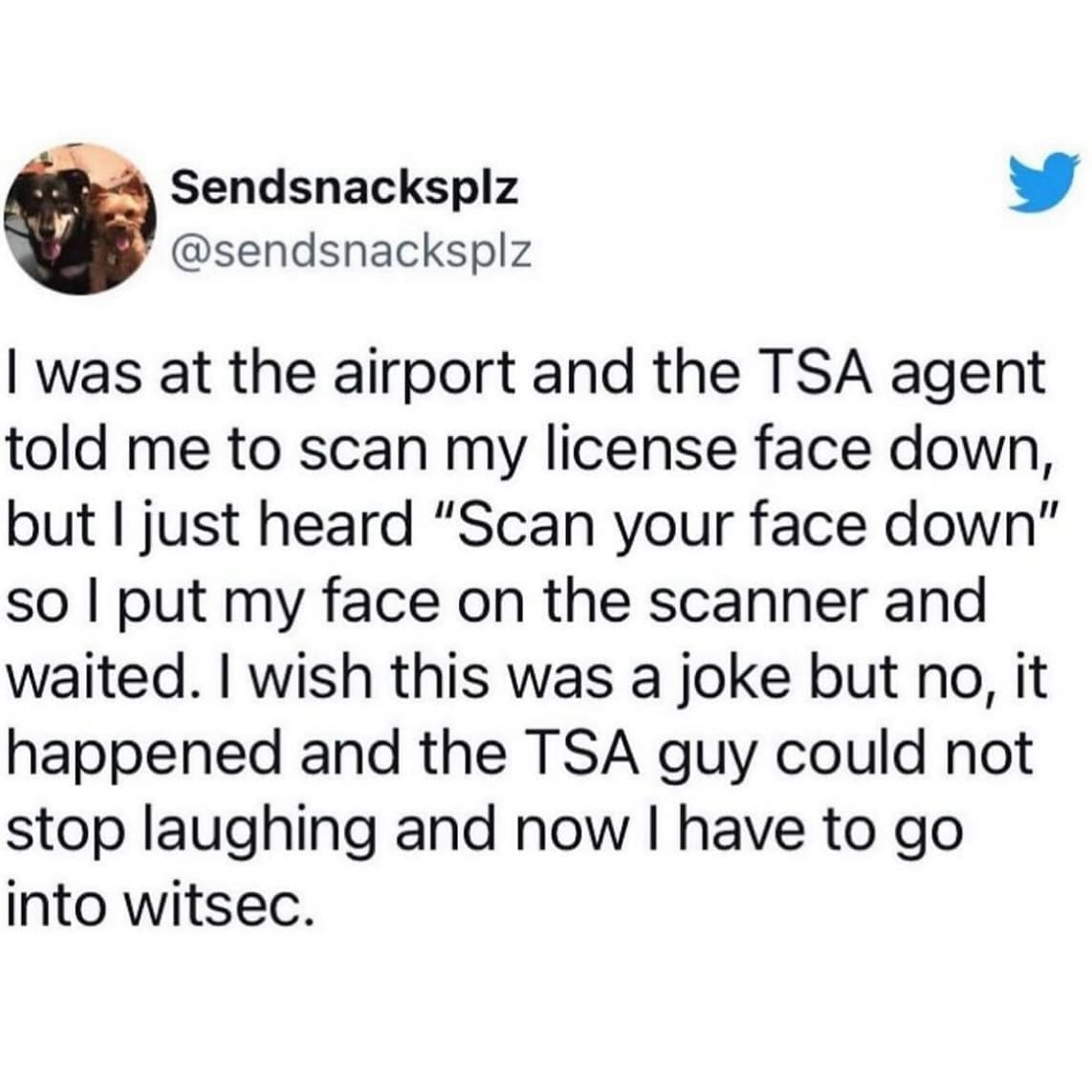 I was at the airport and the TSA agent told me to scan my license face down, but I just heard "Scan your face down" so l put my face on the scanner and waited. I wish this was a joke but no, it happened and the TSA guy could not stop laughing and now I have to go into witsec.