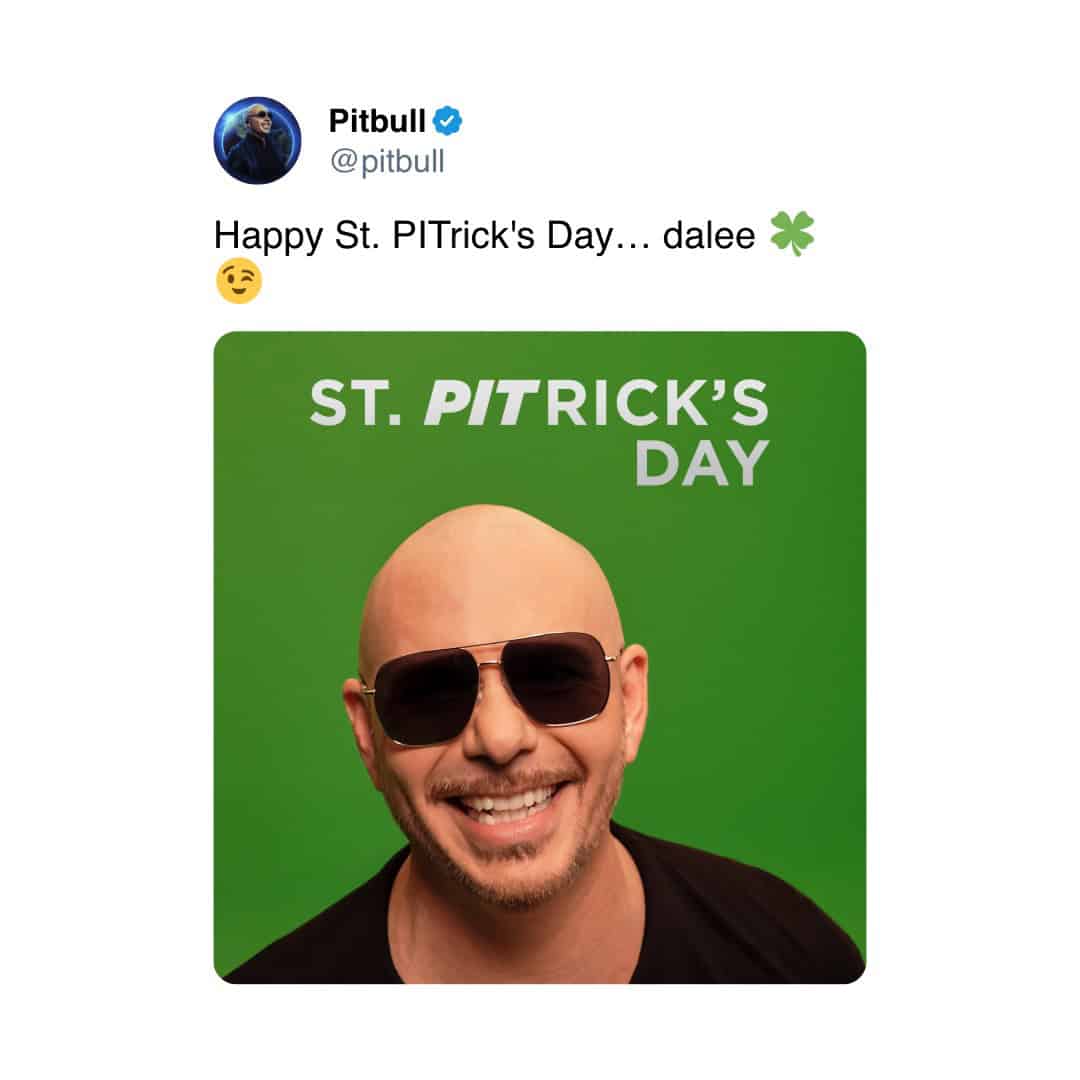 Happy St. PITrick's Day... dalee Pitbull