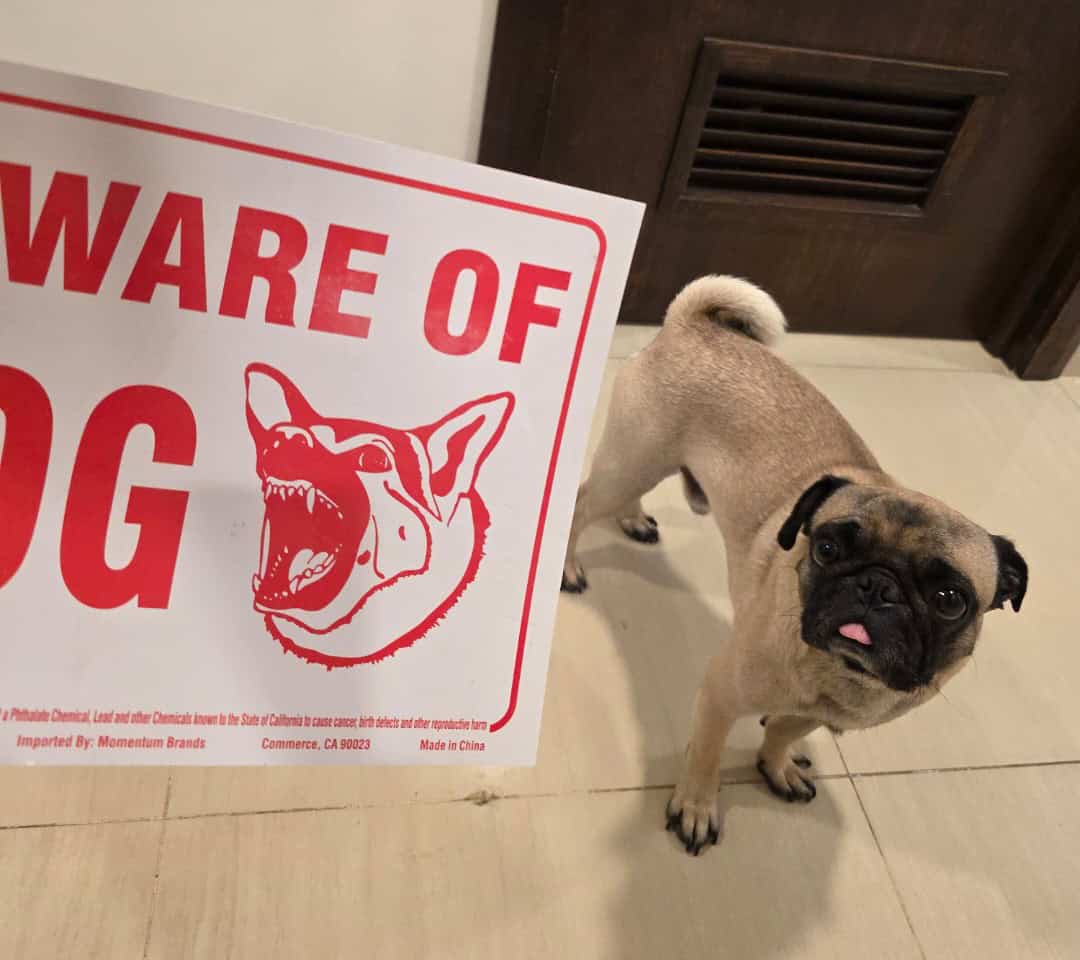 funny reddit posts, comedic Reddit threads, hilarious forum entries, amusing posts, internet humor, online comedic content, social web jokes, digital laughs, short funny stories, comedic anecdotes, humorous everyday tales, random comedic lines