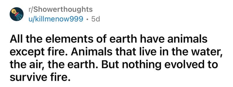 funny shower thoughts, shower thoughts, humorous thoughts, weird realizations, amusing insights, random thoughts, deep shower thoughts, philosophical memes, quirky observations, existential humor, everyday humor, life humor, daily realizations