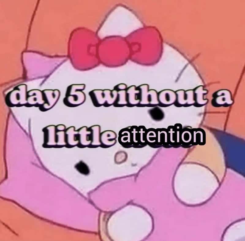 day 5 without a little attention