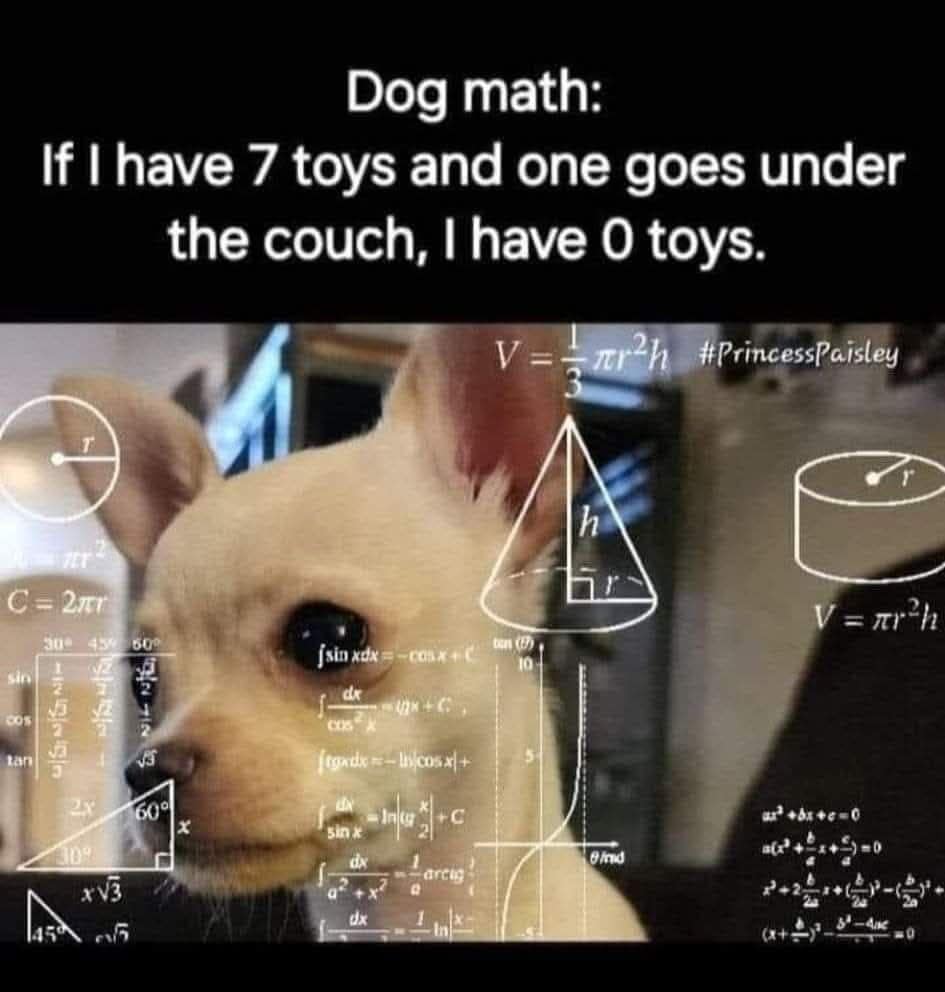 grumpy animal memes, animal memes, moody animal memes, irritated pet memes, annoyed animal memes, animal humor, funny animal pics, hilarious pet memes, wildlife memes, sarcastic memes, cynical animal memes, relatable pet humor, pet frustration memes, funny animal memes