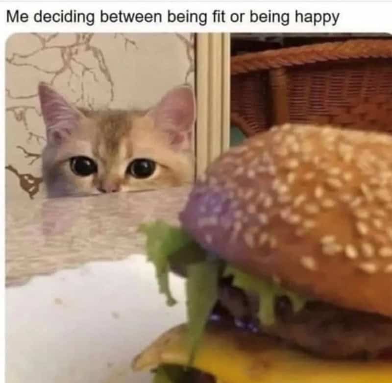 gym memes, workout memes, fitness memes, exercise memes, fitness motivation, workout humor, gym humor, fitness jokes, exercise fails, diet memes, health memes, workout fails