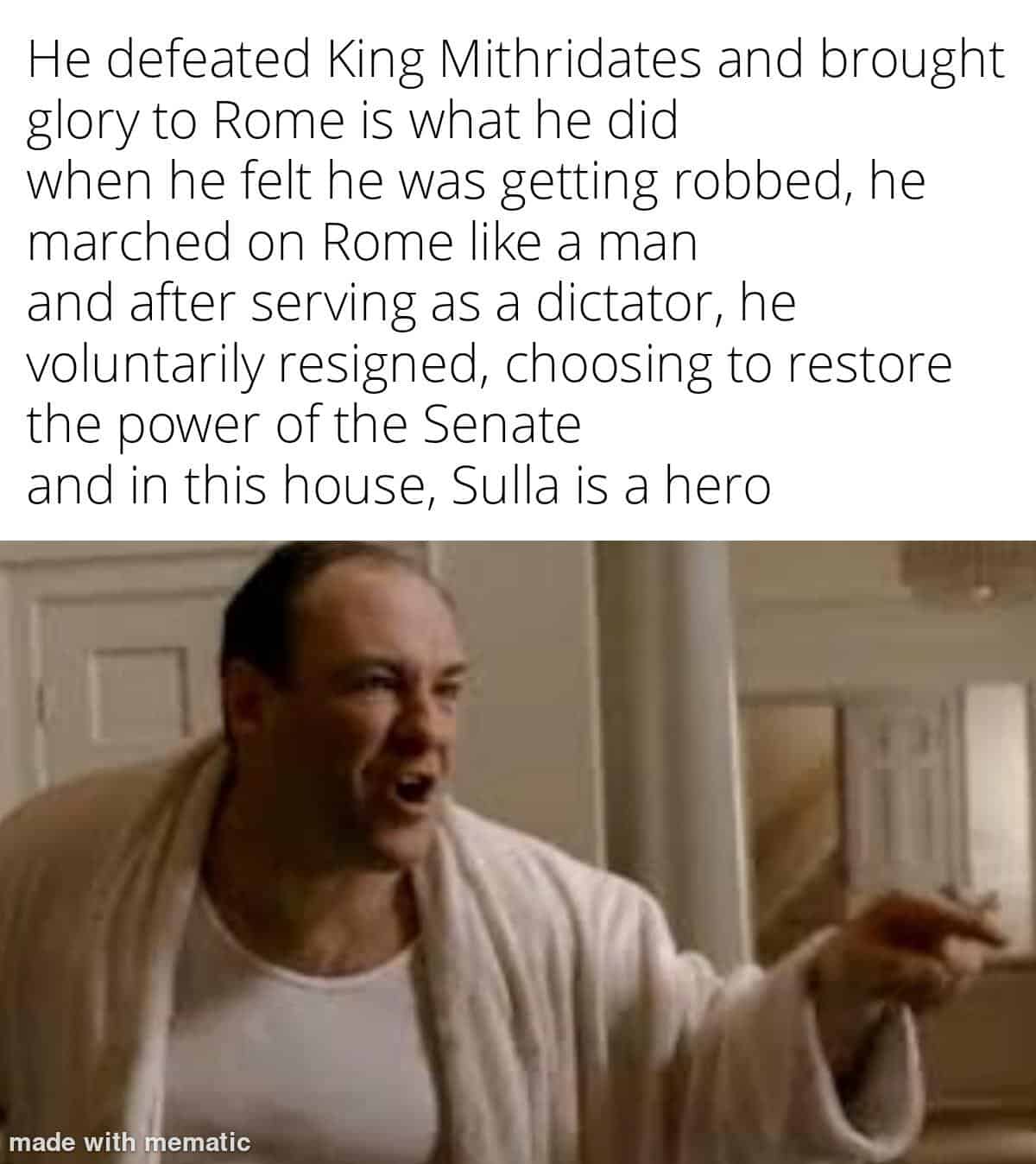 history memes, historical memes, past memes, old world memes, ancient memes, prehistoric humor, antique references, educational humor, scholarly wit, enlightening quips