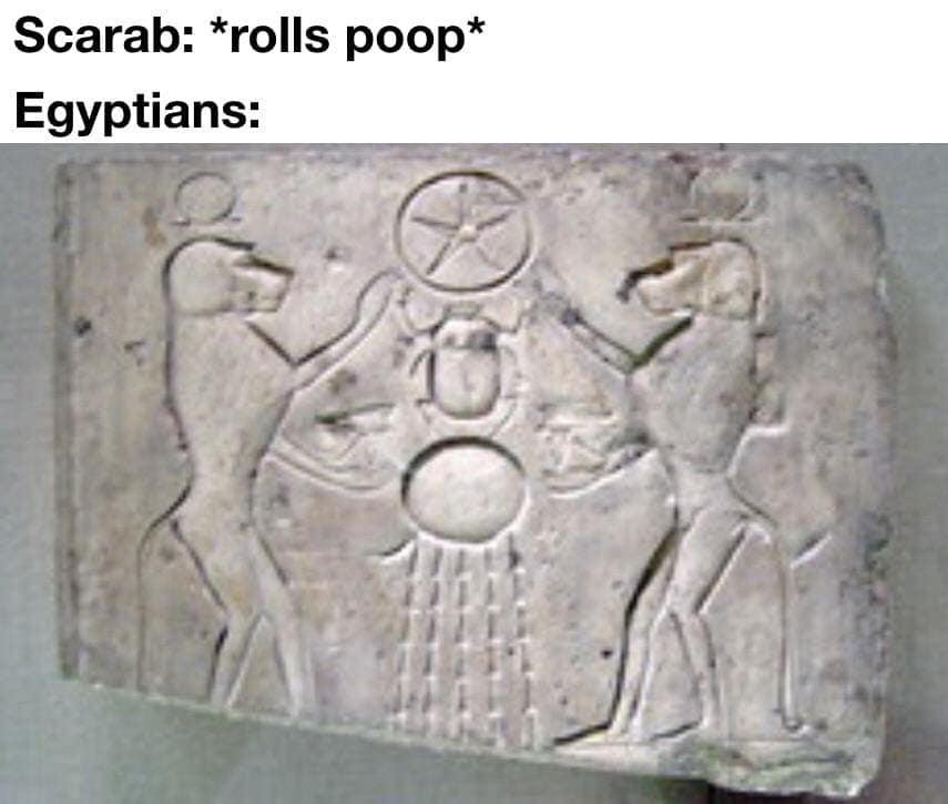 history memes, historical memes, past memes, old world memes, ancient memes, prehistoric humor, antique references, educational humor, scholarly wit, enlightening quips