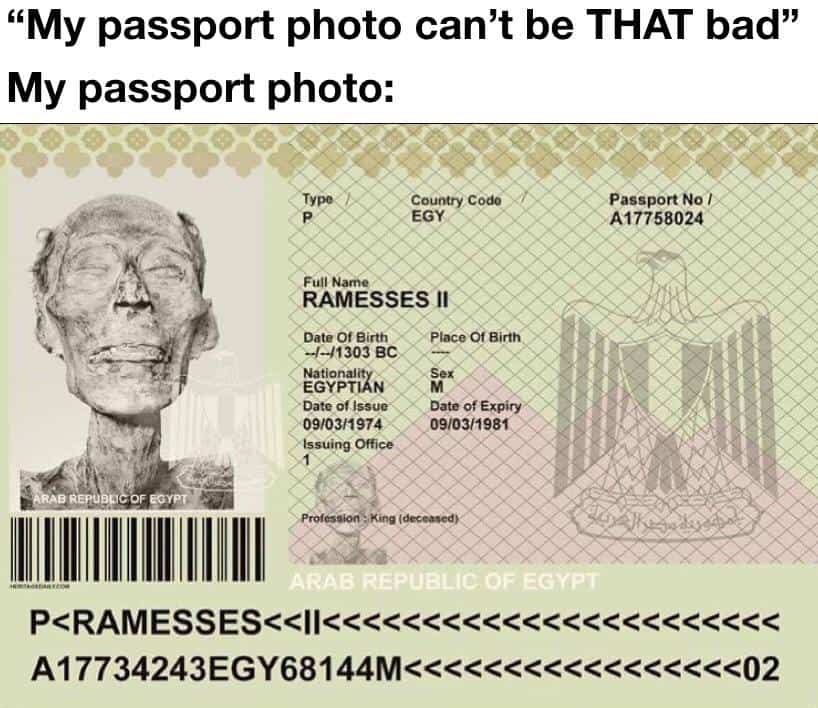 history memes, historical memes, past memes, old world memes, ancient memes, prehistoric humor, antique references, educational humor, scholarly wit, enlightening quips