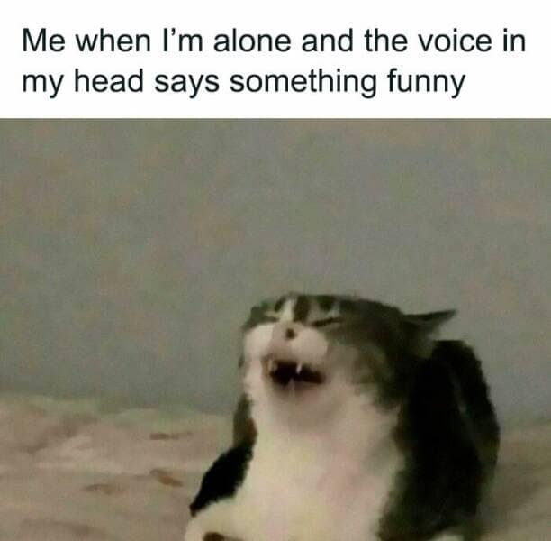 introvert memes, social anxiety memes, quiet humor, antisocial memes, solitude memes, awkward moment memes, introvert humor, anxious humor, socially awkward memes, humorous solitude memes