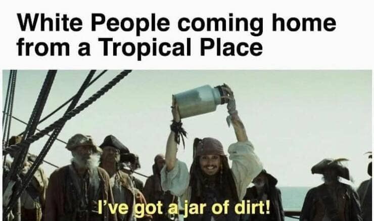 jack sparrow memes, jack sparrow meme, pirate captain memes, swashbuckling memes, rogue pirate humor, pirate humor, buccaneer jokes, seafaring quips, movie meme references, film-inspired laughs, cinematic comedic lines