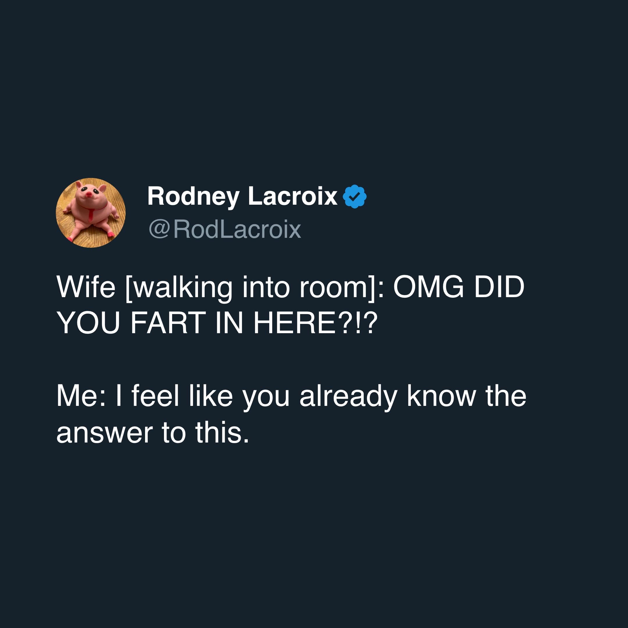 marriage memes, couple jokes, Married Life, relationship humor, Matrimonial Memes, Spousal Humor, Wedded Bliss Banter