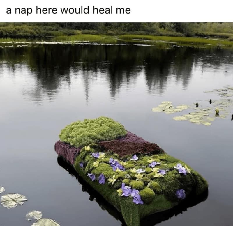 meme dump, funny memes, hilarious memes, meme collection, funny meme gallery, humor memes, funny work memes, lunch break memes, hilarious daily memes, midday meme relief, amusing daily pictures, dank memes, dank meme dump, memes funny