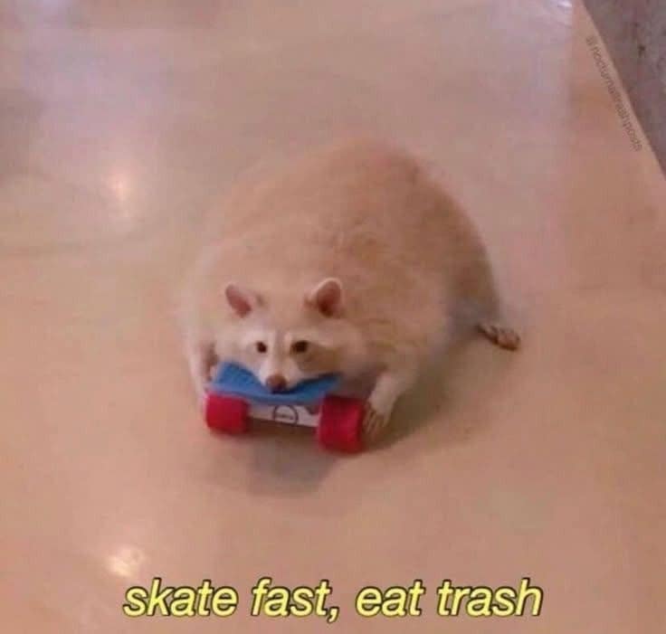skate fast, eat trash