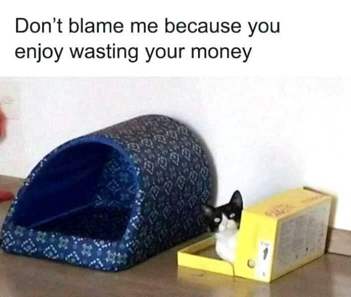 Don't blame me because you enjoy wasting your money
