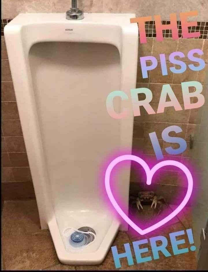 THE PISS CRAB IS HERE!