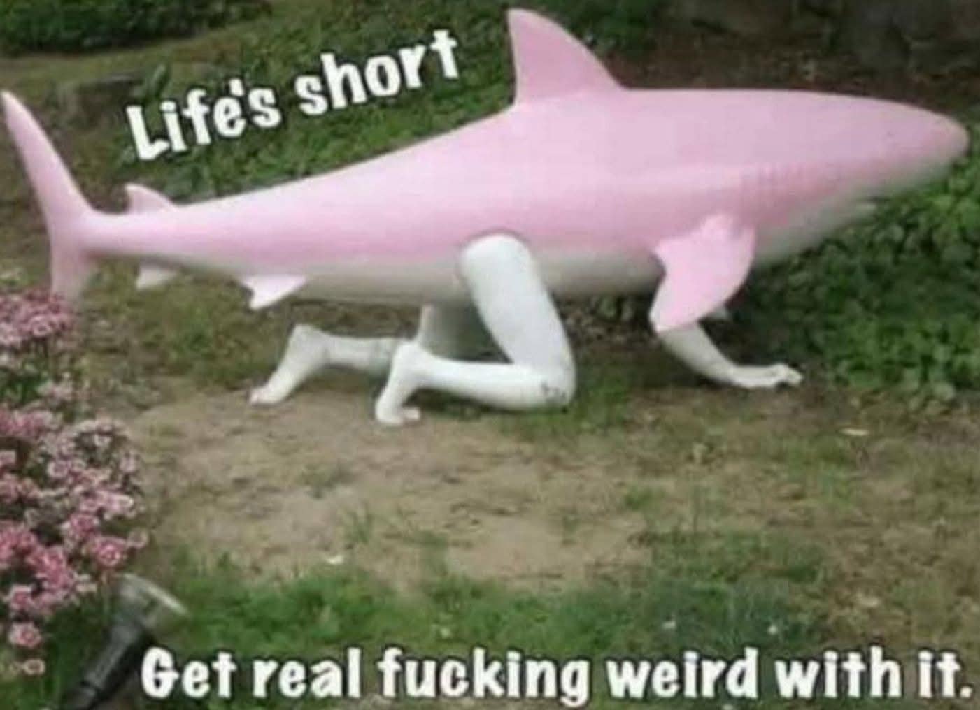 meme dump, funny memes, hilarious memes, meme collection, funny meme gallery, humor memes, funny work memes, lunch break memes, hilarious daily memes, office humor memes, midday meme relief, amusing daily pictures, dank memes, dank meme dump, memes funny