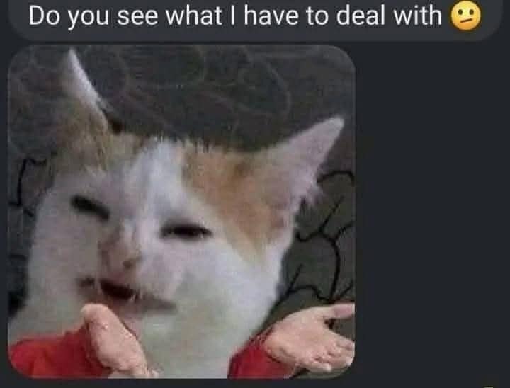 meme dump, funny memes, hilarious memes, meme collection, funny meme gallery, humor memes, funny work memes, lunch break memes, hilarious daily memes, office humor memes, midday meme relief, amusing daily pictures, dank memes, dank meme dump, memes funny