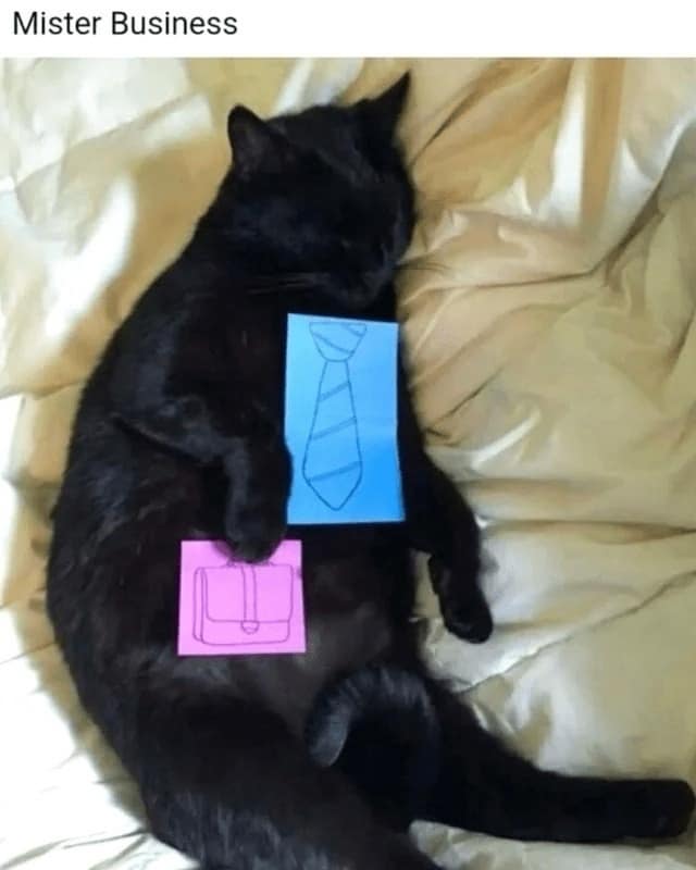 meme dump, funny memes, hilarious memes, meme roundup, meme collection, meme overflow, comedic images, humorous content, side-splitting posts, laugh-worthy visuals, dank memes, dank meme dump