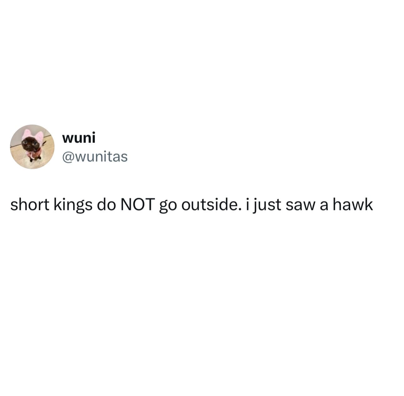 wuni @wunitas short kings do NOT go outside. i just saw a hawk