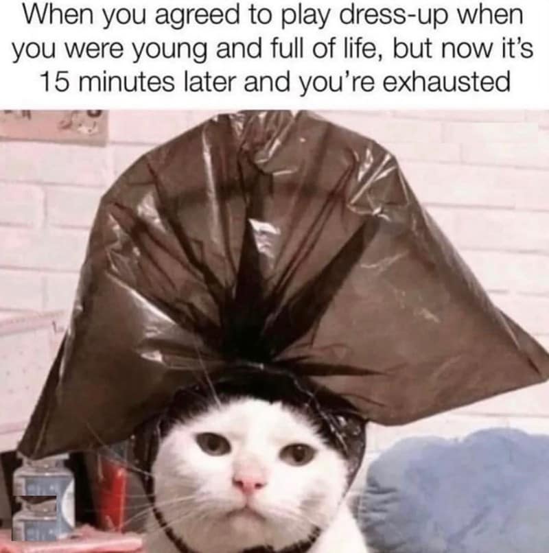 mom memes, motherhood memes, mother memes, mommy memes, funny mom jokes, relatable parent humor, mom life laughs, motherhood jokes, matriarch banter, domestic comedy