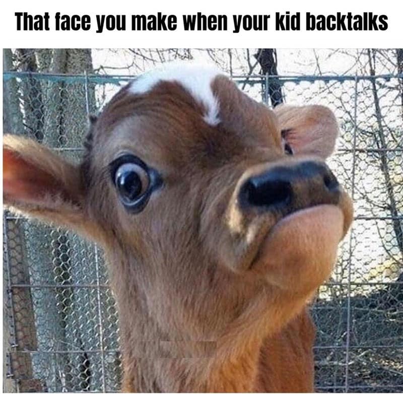 mom memes, motherhood memes, mother memes, mommy memes, funny mom jokes, relatable parent humor, mom life laughs, motherhood jokes, matriarch banter, domestic comedy