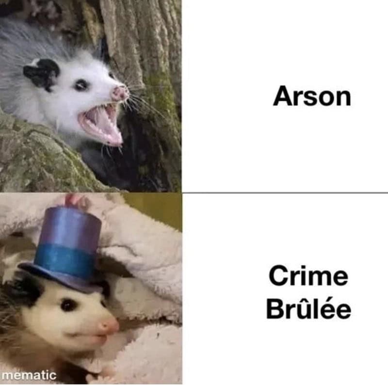 Arson Crime Brûlée