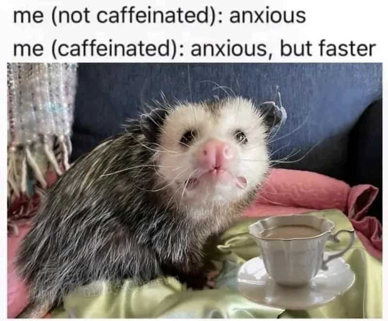 me (not caffeinated): anxious me (caffeinated): anxious, but faster