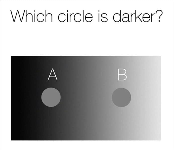 Which circle is darker?