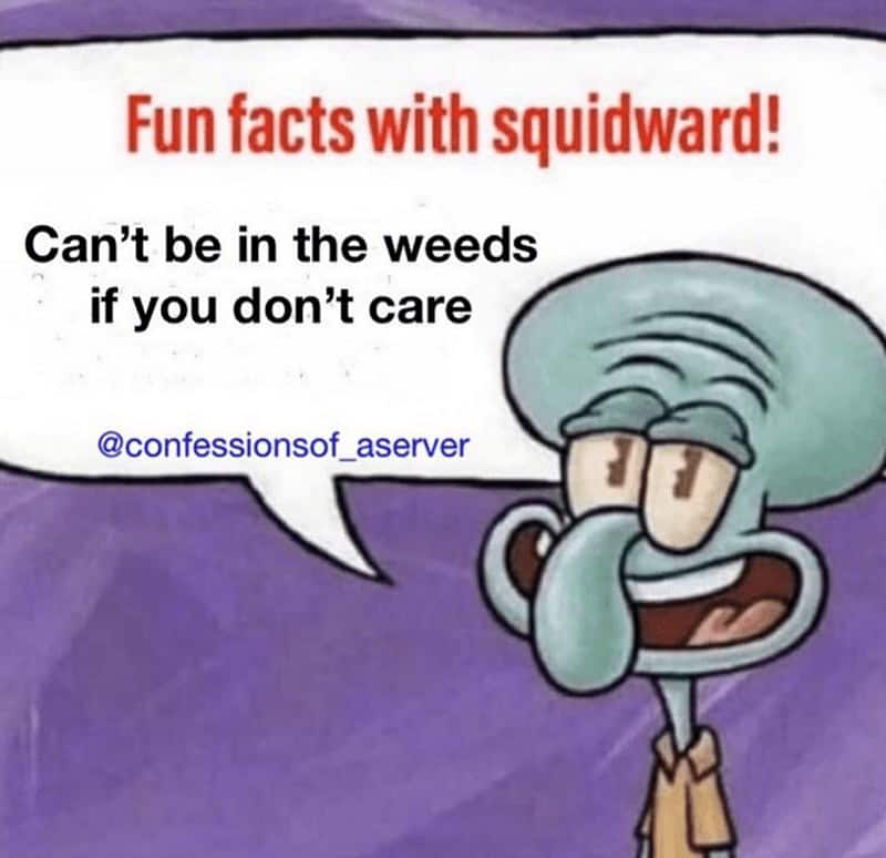 Fun facts with squidward! Can't be in the weeds if you don't care