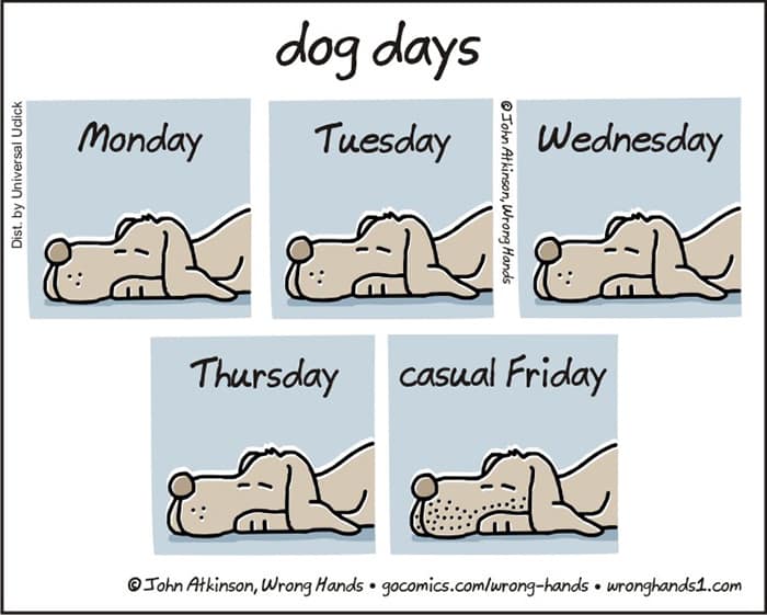 single panel comics, John Atkinson, one panel cartoons, minimal comics, micro-comics, John Atkinson jokes, comedic sketches, quick humor, short comics, brief cartoons, minimal art gags