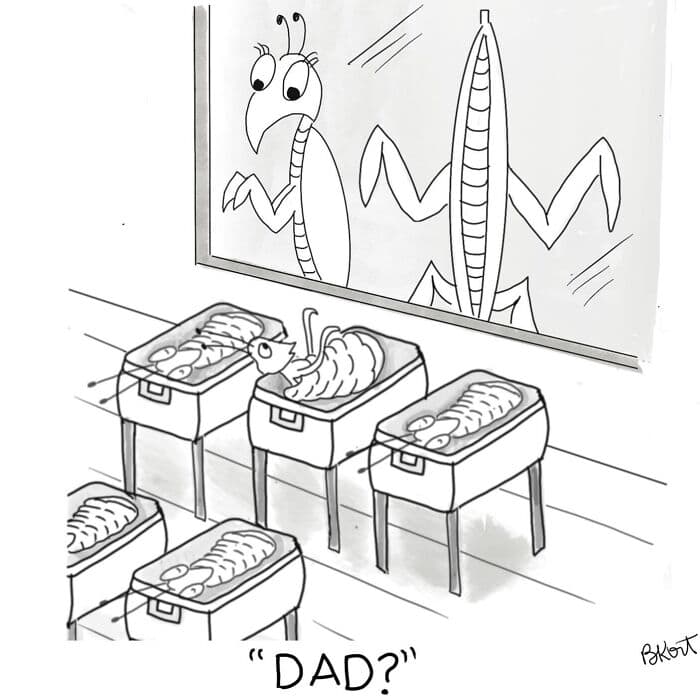 single panel comics, beverly kort, one frame comics, single panel cartoons, quick comics, comic strips, funny cartoons, humorous illustrations, witty comics, relatable comics, daily life comics, visual jokes, funny online web comics