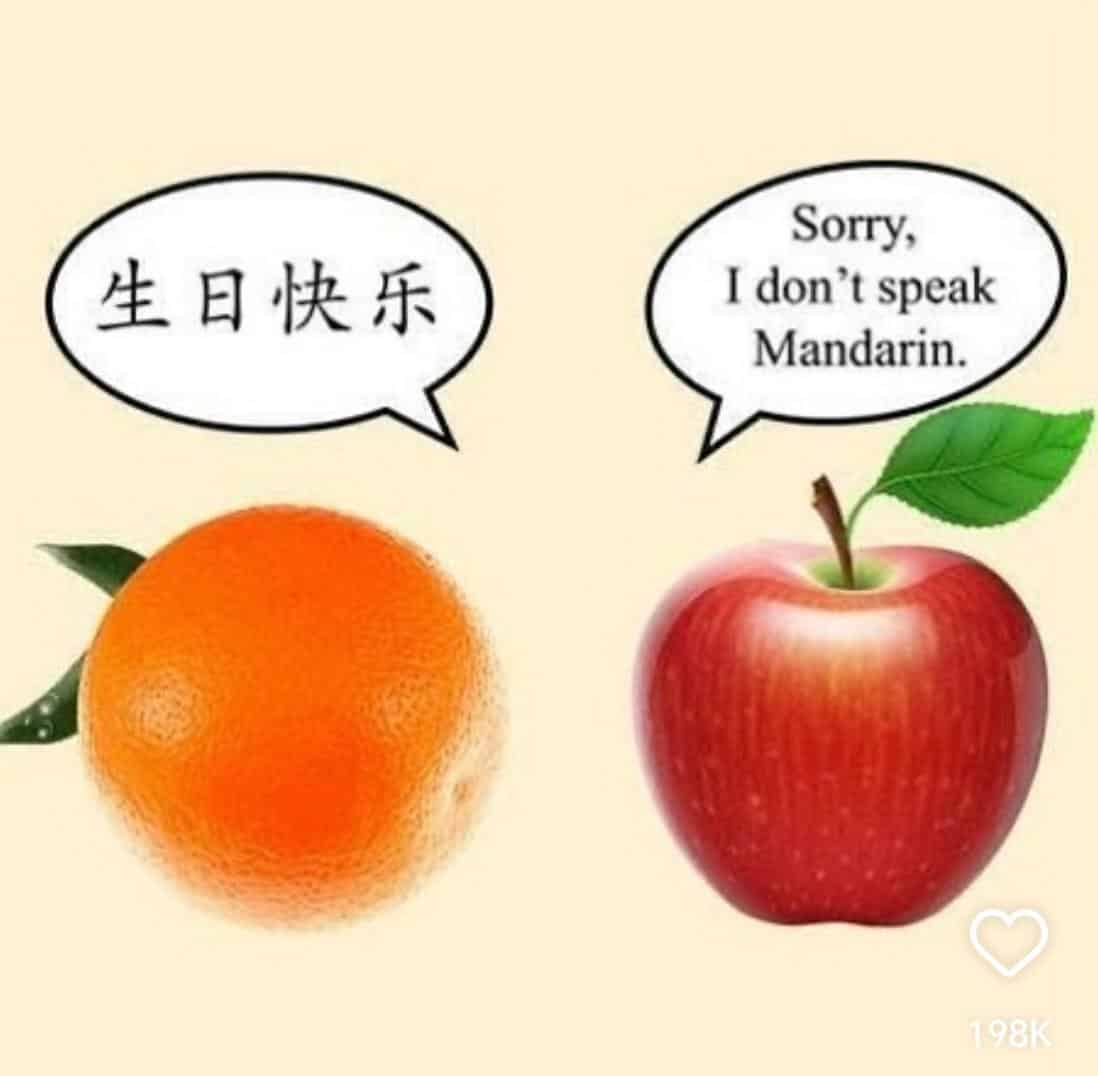 technically correct meme, technically correct memes, accurate meme, precise meme, factual meme, logic memes, reason jokes, literal humor, logic jokes, nitpicking humor, detail-based comedy, nerd humor, academic gags, smart-aleck quips