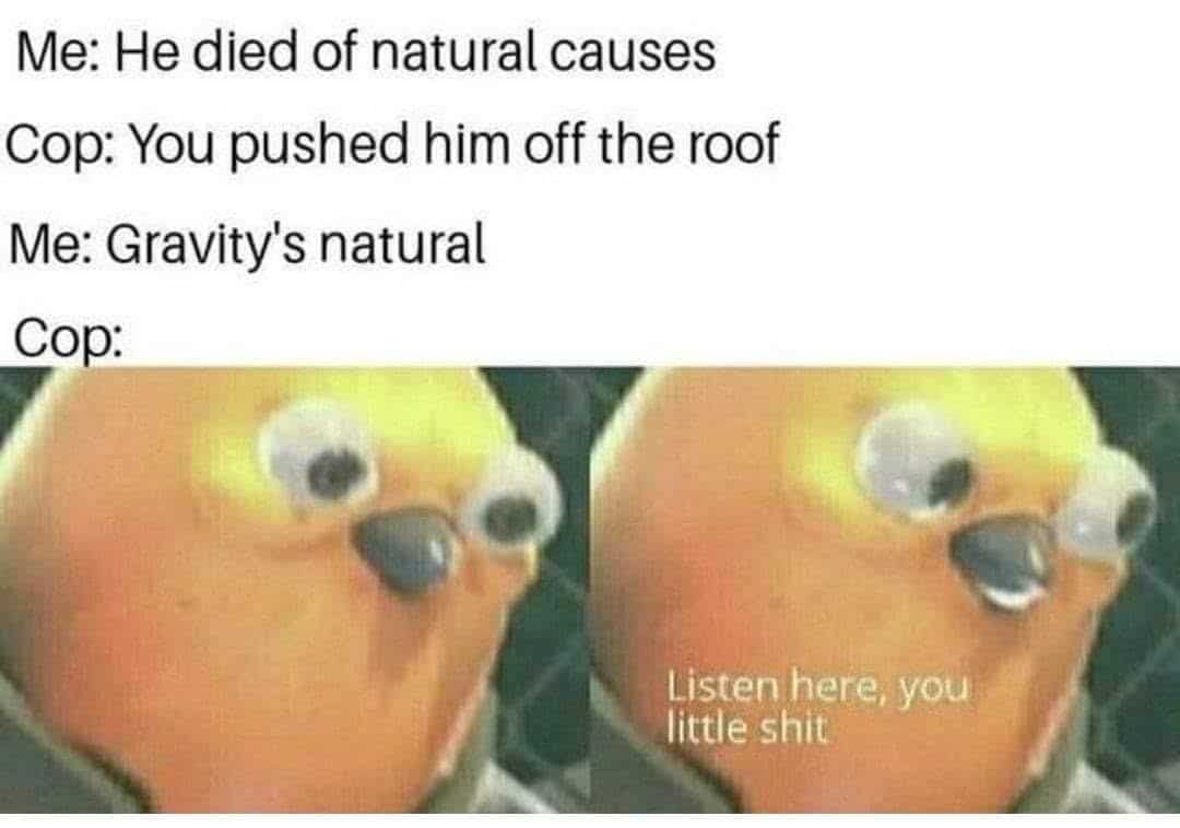 technically correct meme, technically correct memes, accurate meme, precise meme, factual meme, logic memes, reason jokes, literal humor, logic jokes, nitpicking humor, detail-based comedy, nerd humor, academic gags, smart-aleck quips