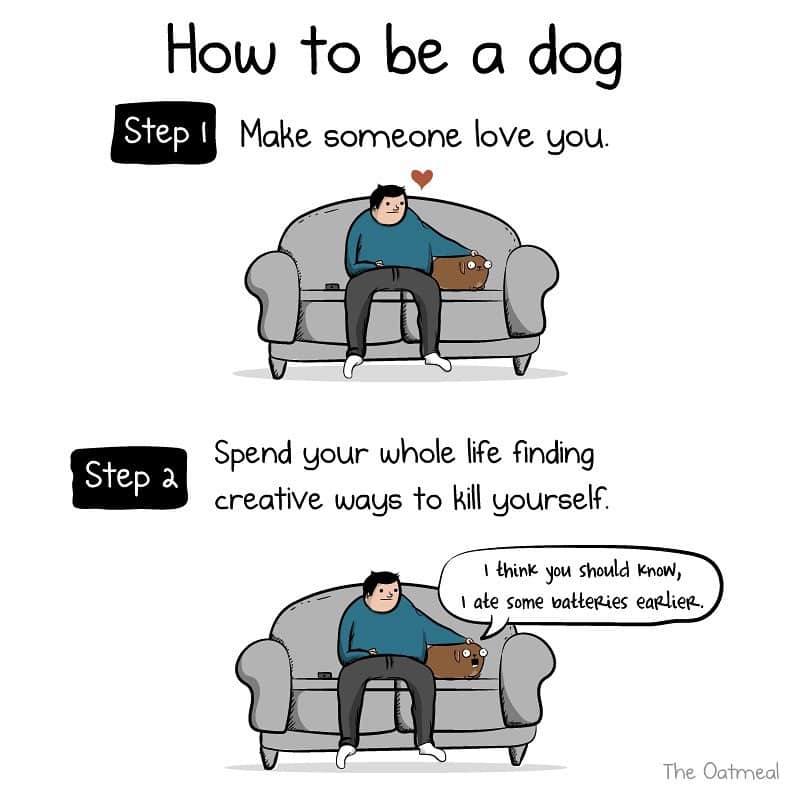 the oatmeal comics, funny online web comics, the oatmeal, web comics, online comics, funny comics, sarcastic humor, satire comics, humorous illustrations, comic strips, relatable comics, comic satire