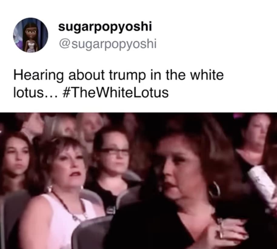 white lotus season 3 memes, white lotus memes, White Lotus Season 3 reactions, White Lotus S3 fan responses, White Lotus latest season discussion, White Lotus new season reviews, White Lotus theme song change, White Lotus soundtrack update, White Lotus opening credits controversy, White Lotus music change, White Lotus cast and characters, White Lotus new cast, White Lotus S3 character analysis, White Lotus season 3 roles