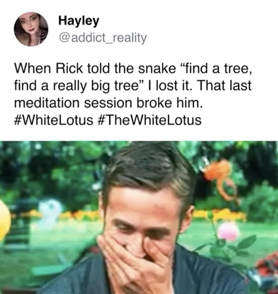 white lotus season 3 memes, white lotus memes, White Lotus Season 3 reactions, White Lotus S3 fan responses, White Lotus latest season discussion, White Lotus new season reviews, White Lotus theme song change, White Lotus soundtrack update, White Lotus opening credits controversy, White Lotus music change, White Lotus cast and characters, White Lotus new cast, White Lotus S3 character analysis, White Lotus season 3 roles