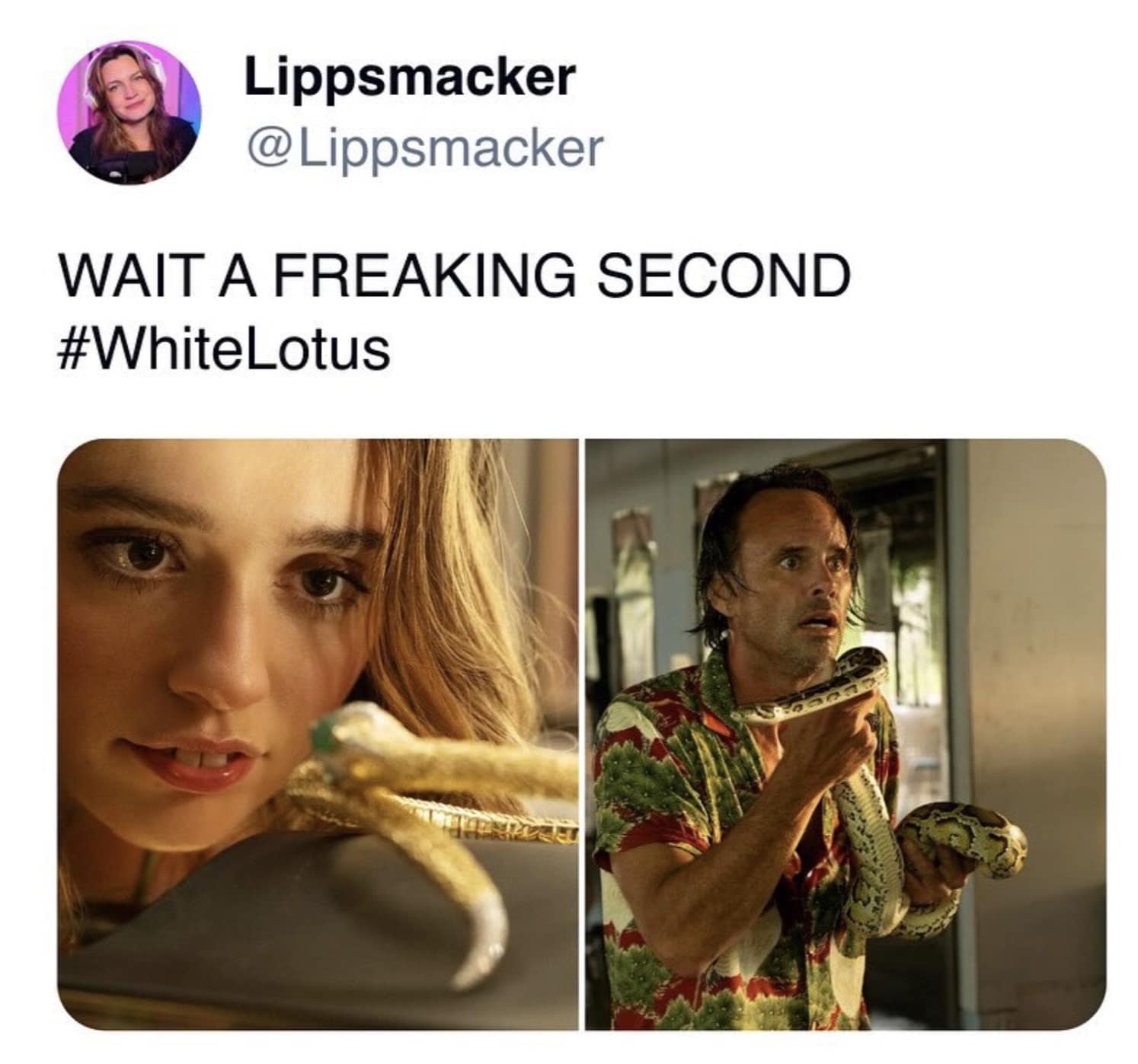 white lotus season 3 memes, white lotus memes, White Lotus Season 3 reactions, White Lotus S3 fan responses, White Lotus latest season discussion, White Lotus new season reviews, White Lotus theme song change, White Lotus soundtrack update, White Lotus opening credits controversy, White Lotus music change, White Lotus cast and characters, White Lotus new cast, White Lotus S3 character analysis, White Lotus season 3 roles