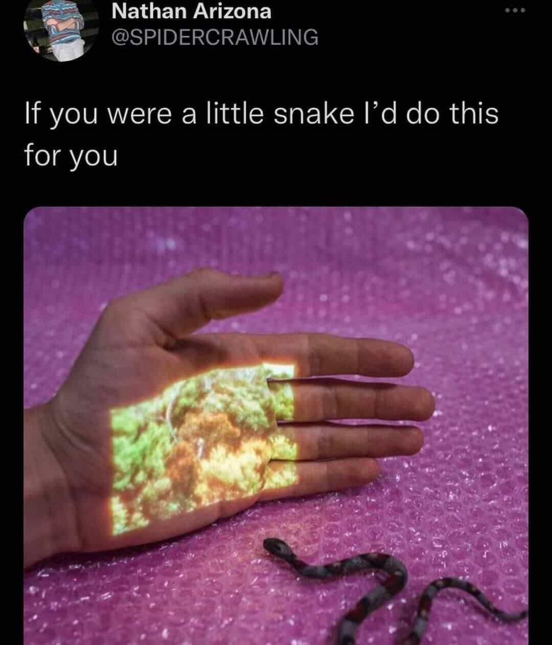 wholesome memes, uplifting memes, positive memes, feel-good memes relatable memes, memes you understand, funny everyday memes, universal humor memes cute memes, adorable memes, charming memes, delightful memes motivational memes, inspirational memes, encouraging memes, supportive memes, heartwarming memes