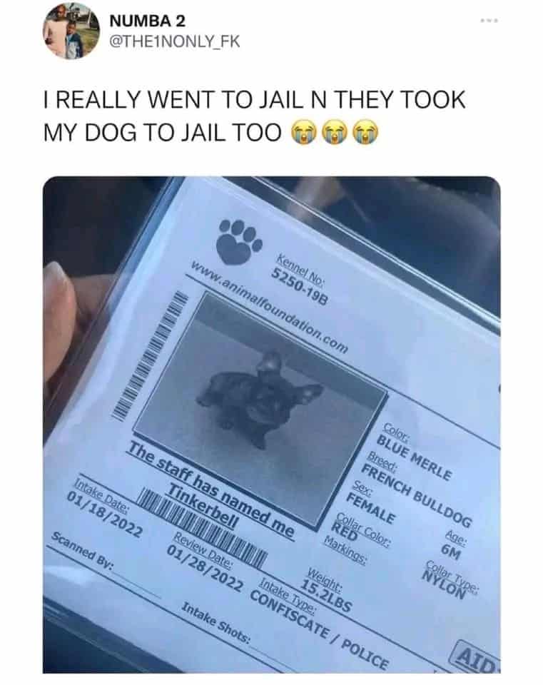 wholesome memes, uplifting memes, positive memes, feel-good memes relatable memes, memes you understand, funny everyday memes, universal humor memes cute memes, adorable memes, charming memes, delightful memes motivational memes, inspirational memes, encouraging memes, supportive memes, heartwarming memes