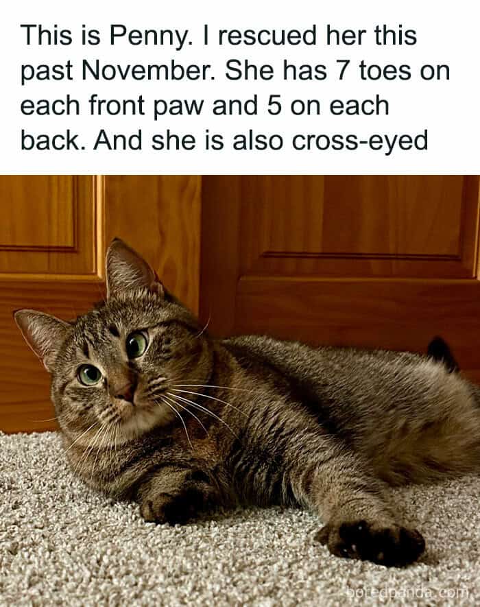 wholesome memes, uplifting memes, positive memes, feel-good memes relatable memes, memes you understand, funny everyday memes, universal humor memes cute memes, adorable memes, charming memes, delightful memes motivational memes, inspirational memes, encouraging memes, supportive memes, heartwarming memes