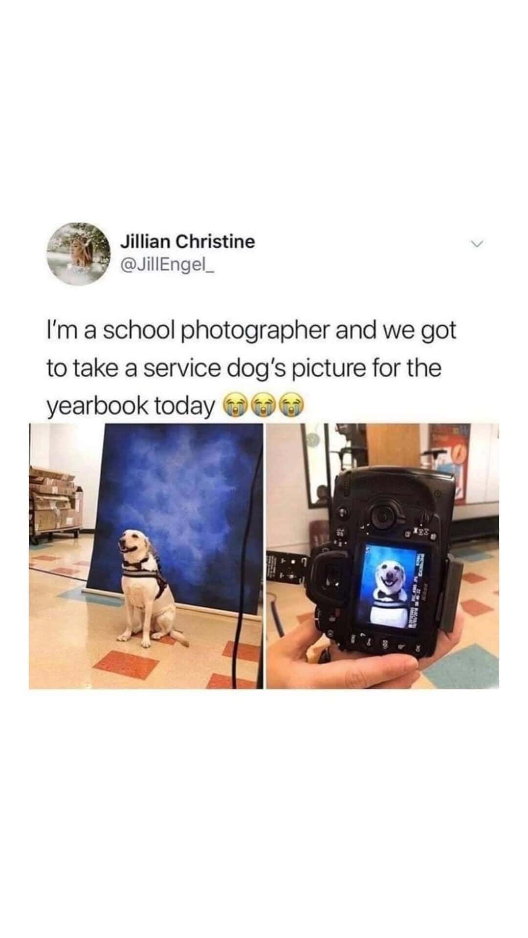 wholesome memes, uplifting memes, positive memes, feel-good memes relatable memes, memes you understand, funny everyday memes, universal humor memes cute memes, adorable memes, charming memes, delightful memes motivational memes, inspirational memes, encouraging memes, supportive memes, heartwarming memes