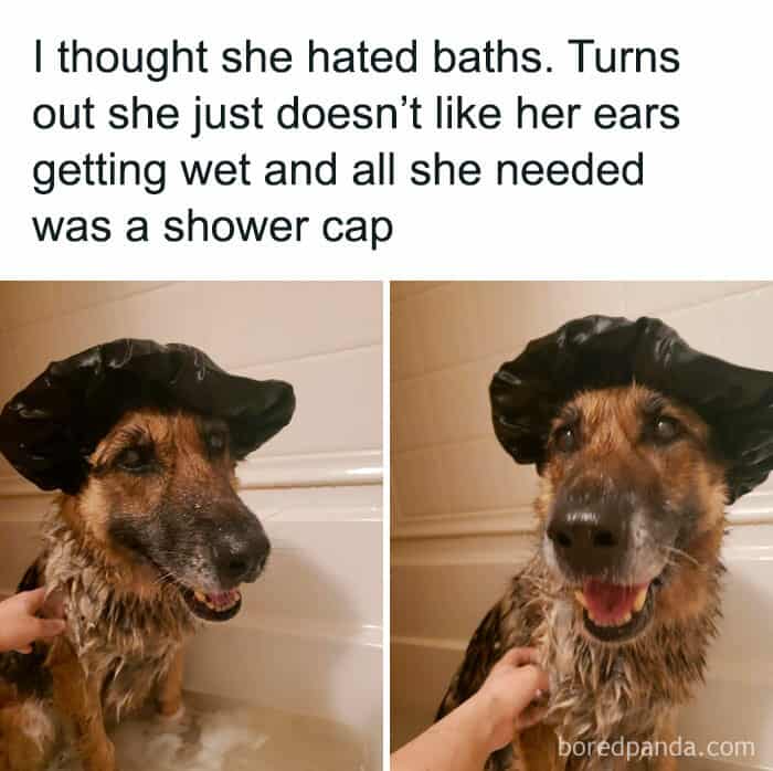 wholesome memes, uplifting memes, positive memes, feel-good memes relatable memes, memes you understand, funny everyday memes, universal humor memes cute memes, adorable memes, charming memes, delightful memes motivational memes, inspirational memes, encouraging memes, supportive memes, heartwarming memes