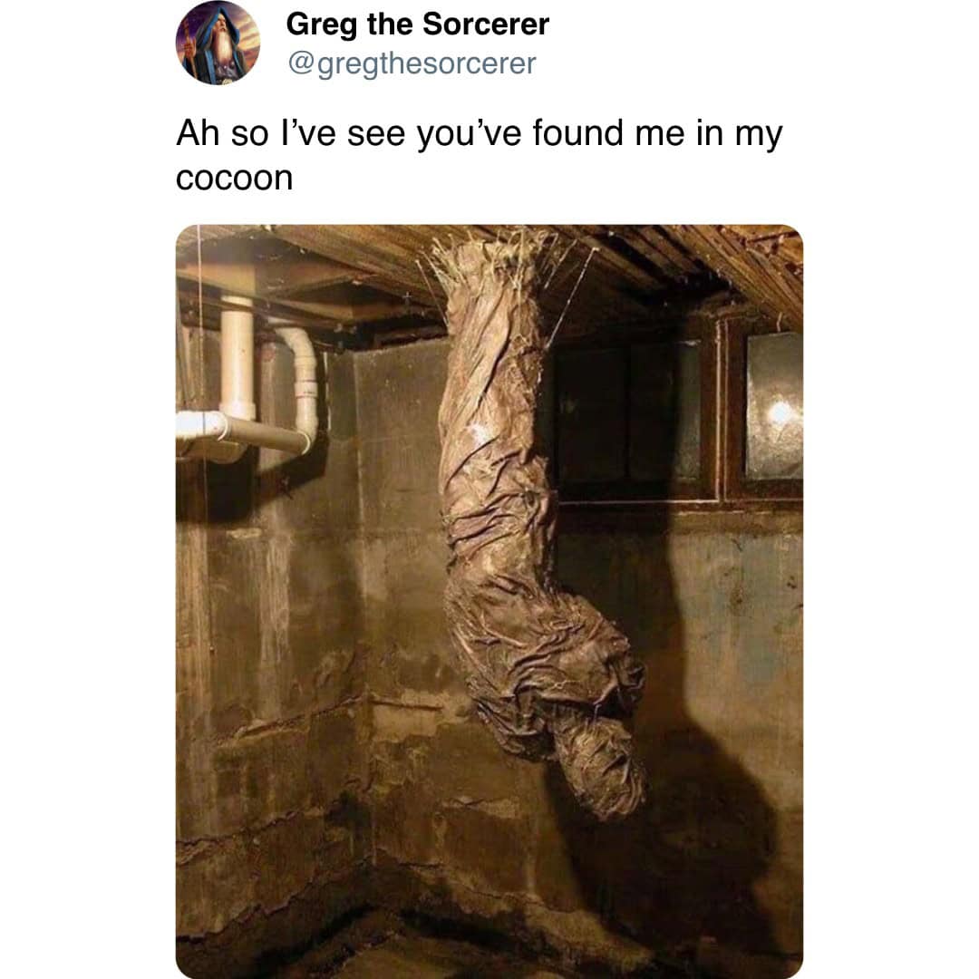 wizard memes, wizard meme, greg the sorcerer, mage memes, sorcery memes, enchanter memes, fantasy memes, whimsical quests, enchanted visuals, magical humor, arcane comedy, supernatural wit, sorcerer jokes, mystic puns, conjurer humor