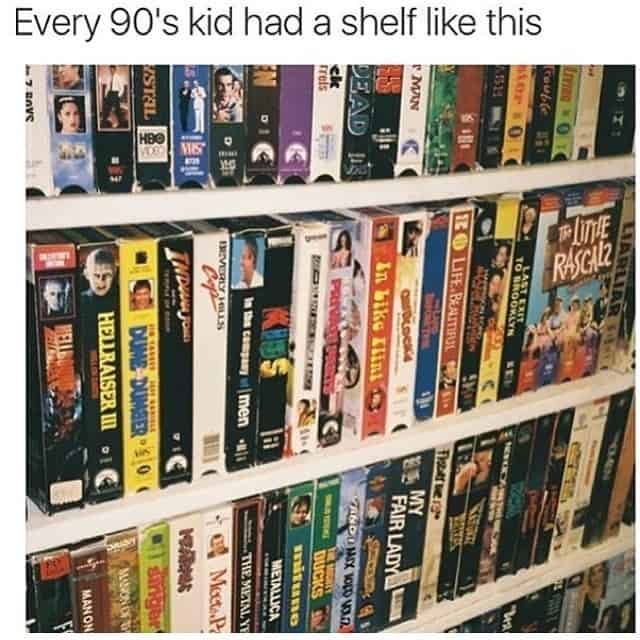 Every 90's kid had a shelf like this