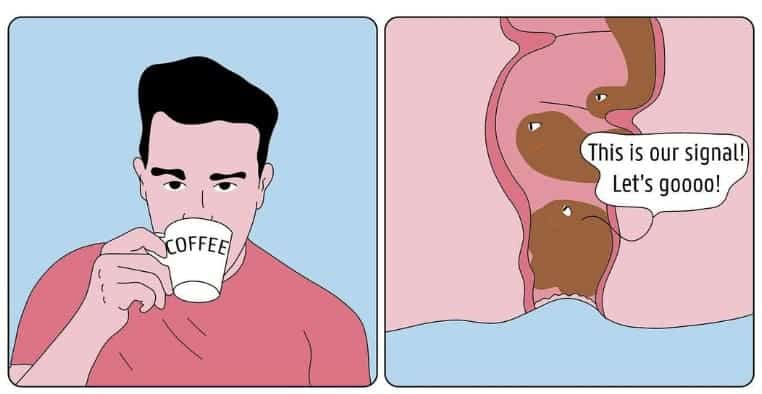 absurd comic strip, domien delforge, funny online web comics, bizarre comic strip, strange comic strip, surreal comic strip, funny web comics, comedic web comics, entertaining web comics, humorous online comics, amusing online comics, witty online comics, surreal comics, odd comics, weird comics